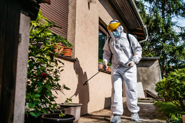 Best Pest Inspection Near Me  in Olivet, NJ