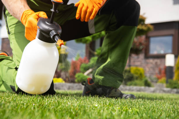 Best Mosquito Control Services  in Olivet, NJ