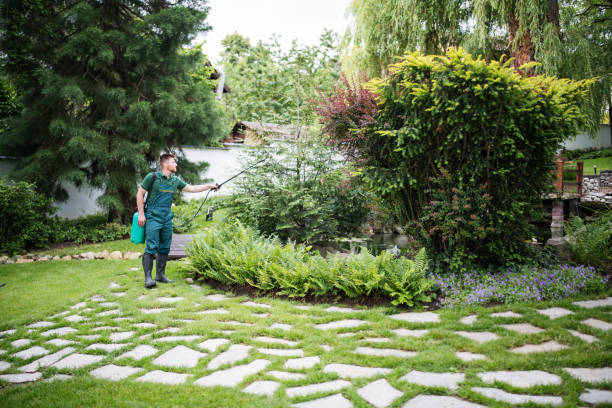 Best Commercial Pest Control Services  in Olivet, NJ