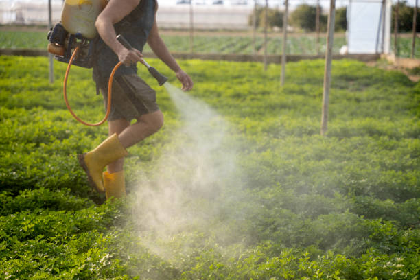 Pest Control for Restaurants in Olivet, NJ