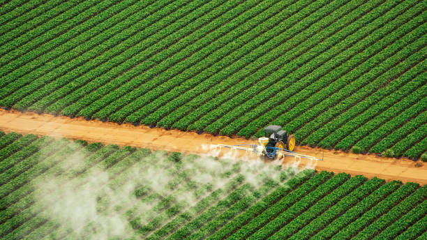 Best Commercial Pest Control Services  in Olivet, NJ