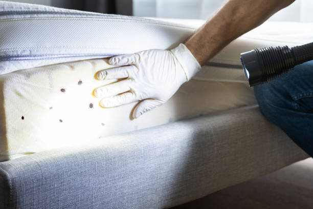 Best Insect Control  in Olivet, NJ