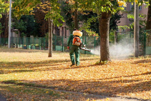 Best Termite Control Services  in Olivet, NJ