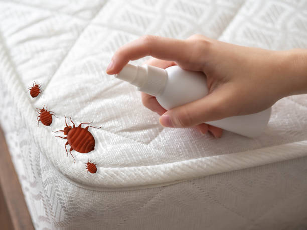  Olivet, NJ Pest Control Pros