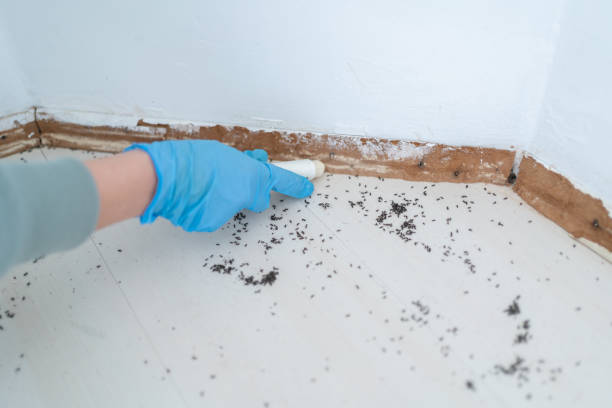 Pest Prevention Services in Olivet, NJ